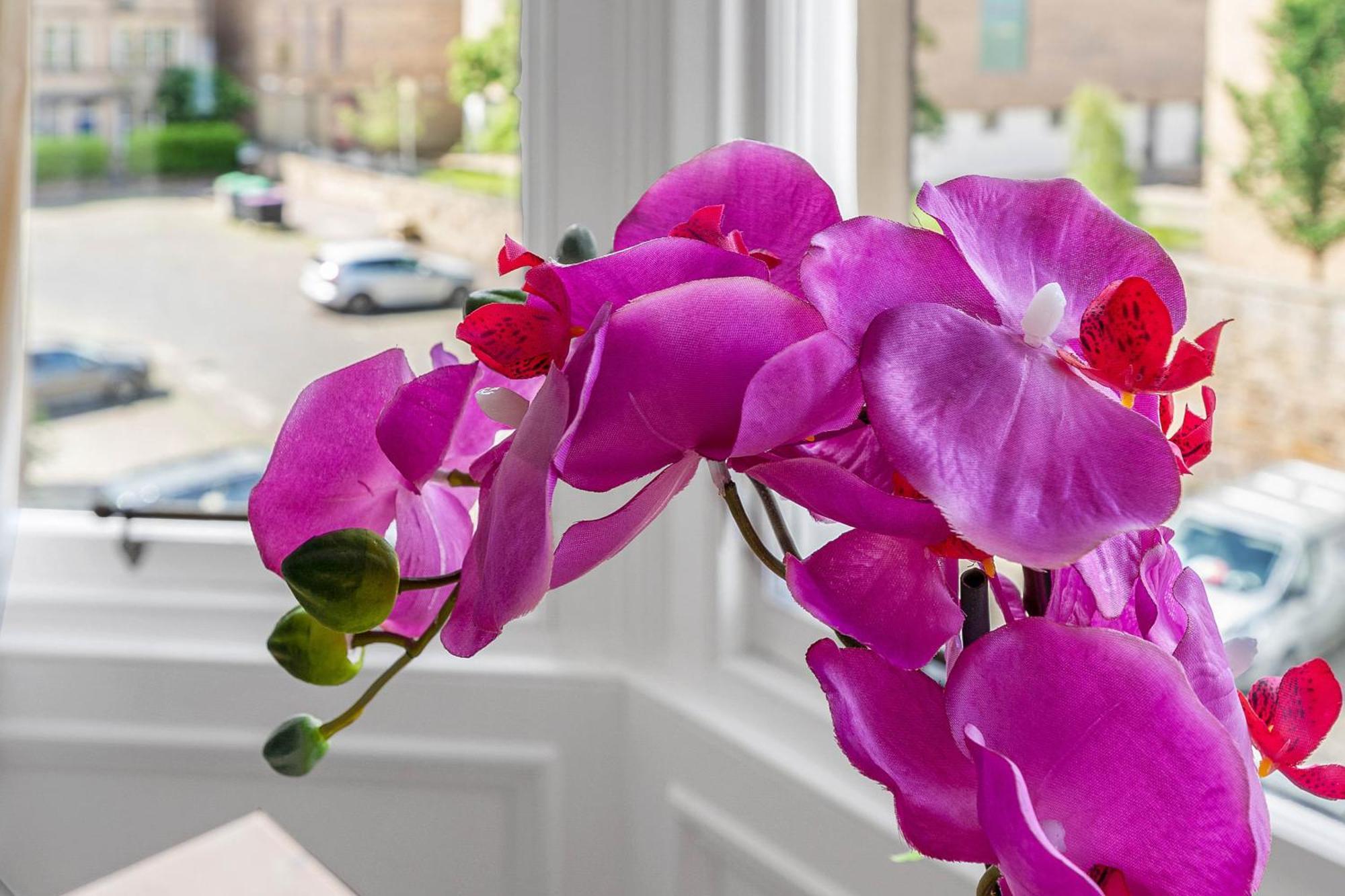 Appartement Marchmont Traditional
